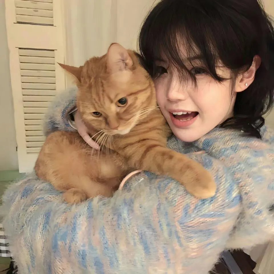 左轮百合